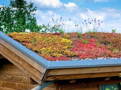 Groene dakbedekking voor een beter milieu
